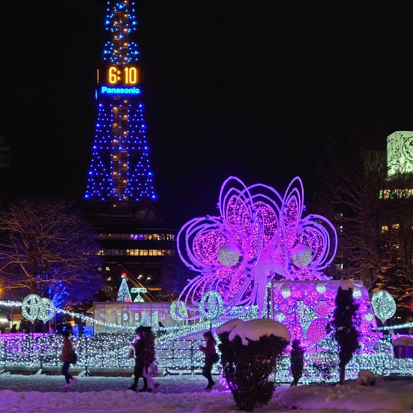 入手困難！超貴重な知床真柏のオブジェ